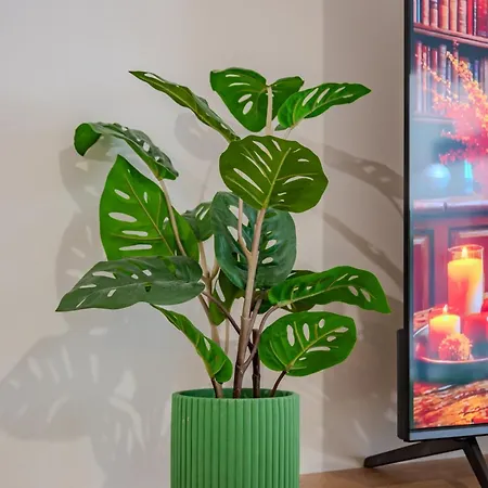 アパート Le Stan - Centre - Terrasse & Parking Gratuit - Commerces A Proximite *